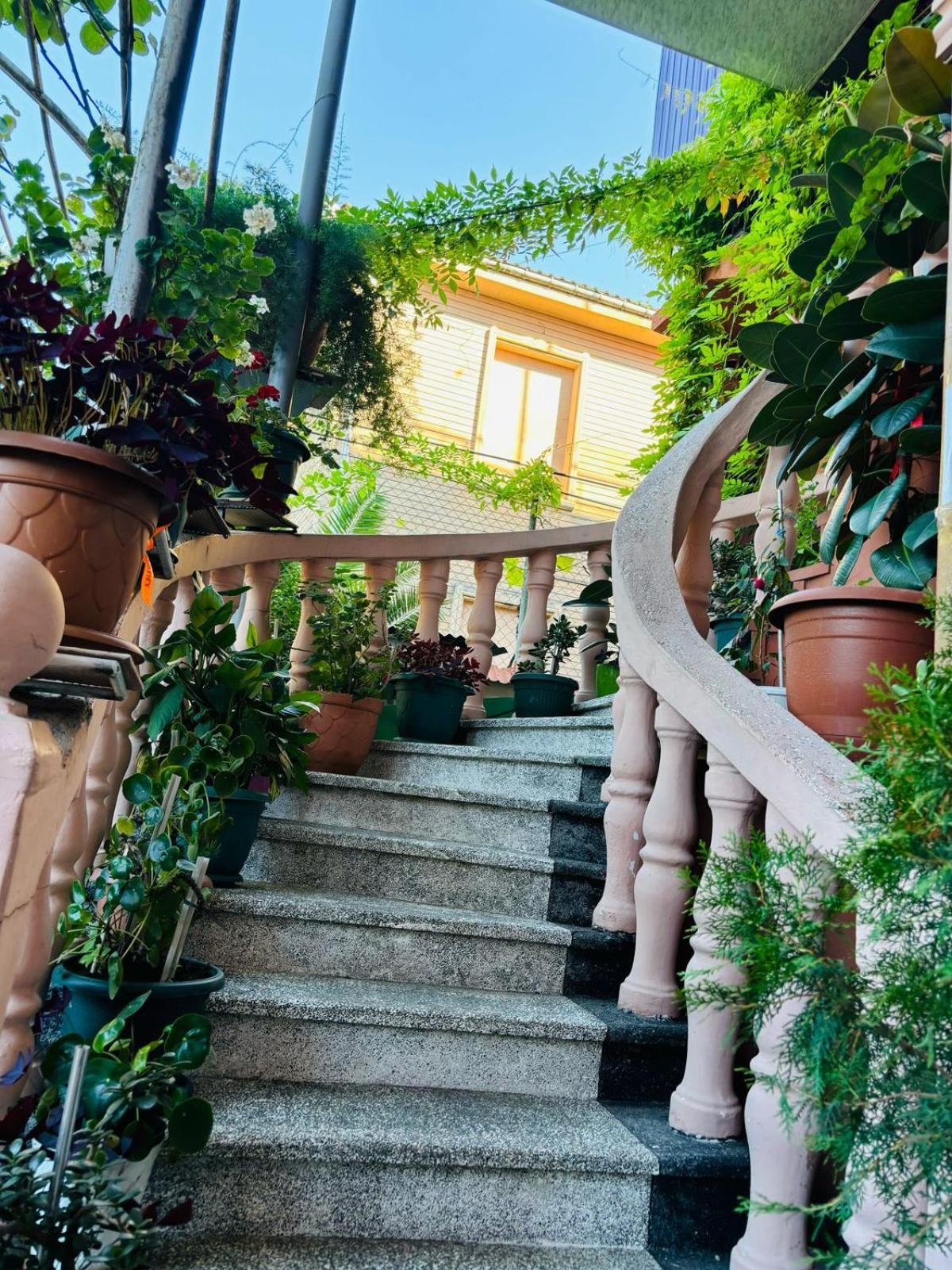 Nikas Guest House Batumi Exterior photo